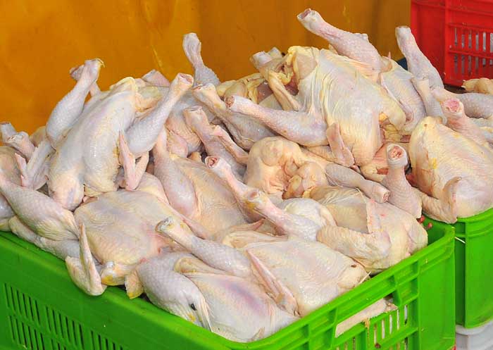 به رغم هشدار مسوولان قیمت گوشت مرغ درلرستان همچنان رو به افزایش است