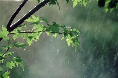 مدیرکل هواشناسی لرستان خبر داد: بارش باران در لرستان تا اواخر امشب ادامه دارد