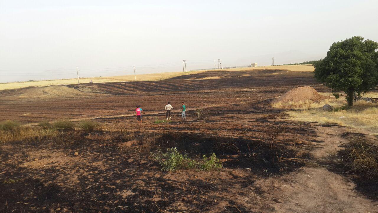 آتش‌سوزی مزارع کشاورزی شهرستان کوهدشت مهار شد