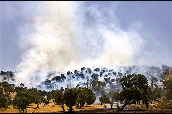 جنگل‌ها و مراتع منطقه میربگ جنوبی شهرستان دلفان در آتش سوخت