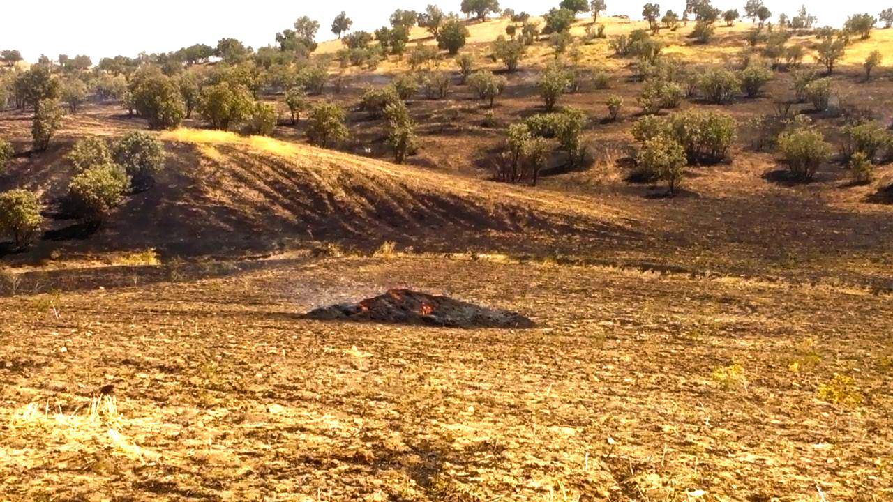 مهار آتش سوزی در عرصه های جنگلی برآفتاب صید محمد کوهدشت
