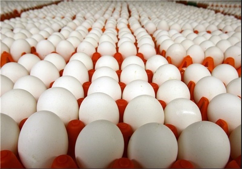 مدیر امور طیور جهاد کشاورزی استان لرستان: آنفولانزا دلیل اصلی گرانی تخم مرغ است