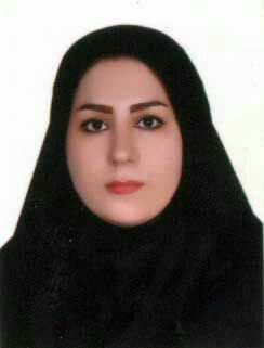 قانون سالاری؛ از خانواده تا جامعه – فاطمه ایرانی