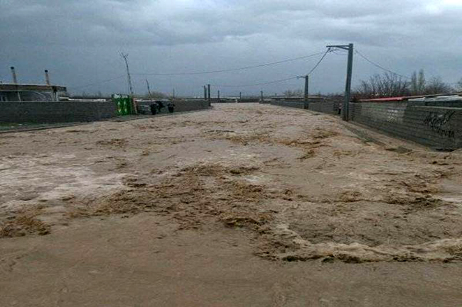سیلاب راه ارتباطی عشایر پلدختر را قطع کرد؛ ۱۰ خودرو گرفتار در سیل