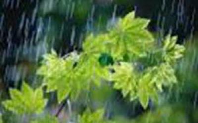 ۸۰ درصد بارندگی ها از لرستان خارج می شود
