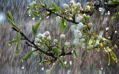 میزان بارندگی در  شهرهای لرستان/ میانگین بارش ها در سال جاری به ۴۰میلیمتر رسید