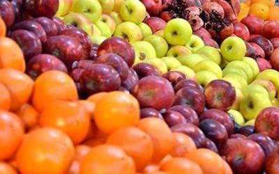 قیمت سیب و پرتقال دولتی در خرم‌آباد اعلام شد/ توزیع اقلام در نمایشگاه کالاهای اساسی