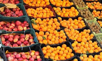 توزیع ۵۰ تن سیب و پرتغال شب عید در لرستان/ قیمت‌ها اعلام شد