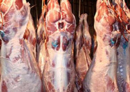 توزیع گوشت قرمز منجمد تنظیم بازار با قیمت مصوب